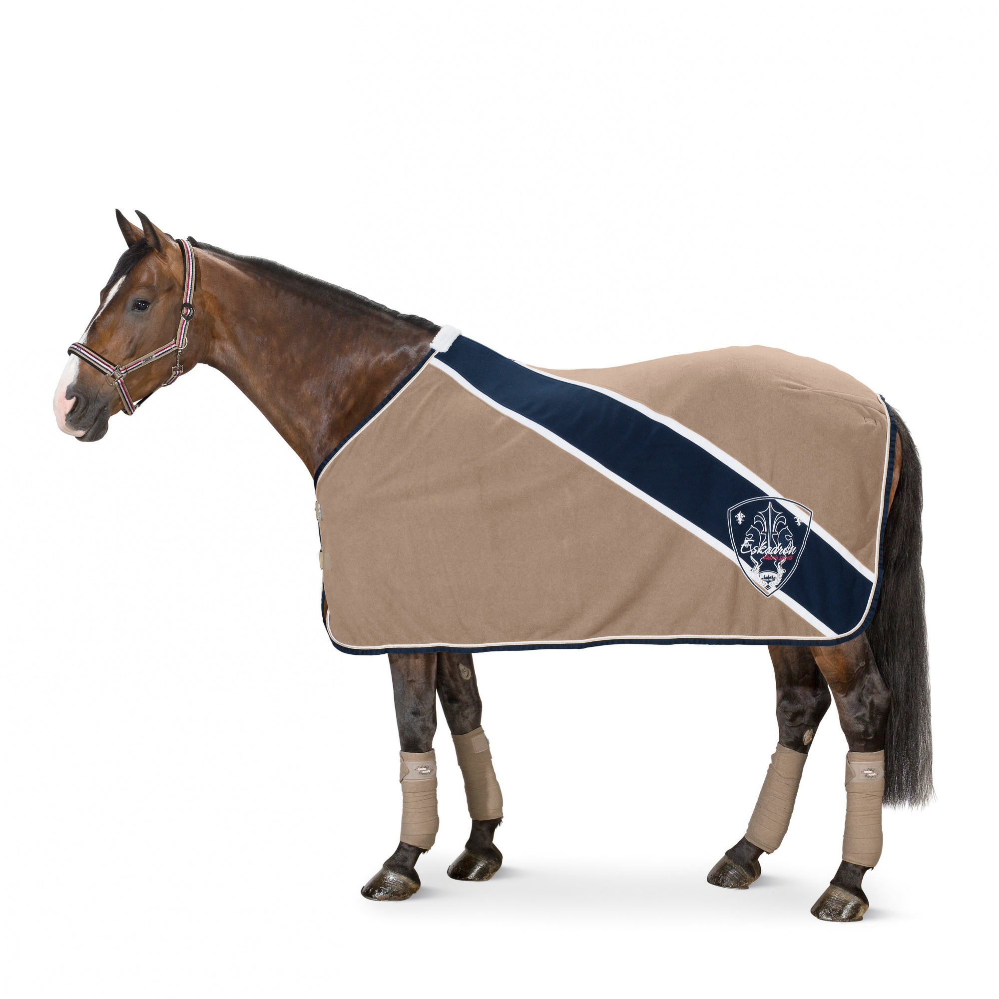 Eskadron BICOLOR FLEECE SWEAT RUG CLASSIC SPORTS W16