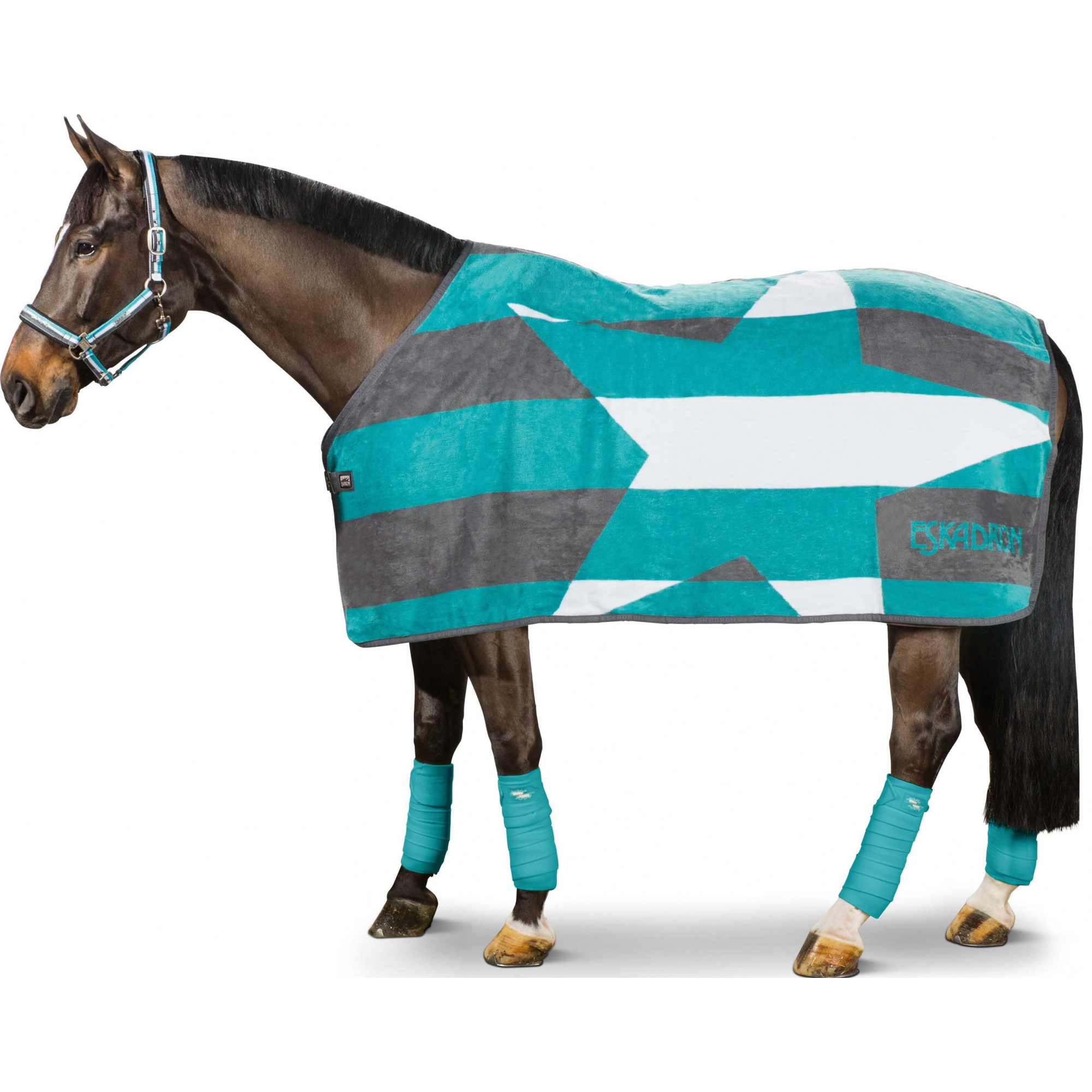 Eskadron SWEAT RUG DRALON STAR S14 NEXT GENERATION