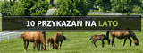10 przykazań na lato dla jeźdźca - Equishop