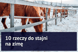 10 rzeczy do stajni na zimę - Equishop