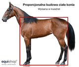 Budowa i pokrój, czyli anatomia konia - Equishop