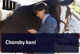 Choroby koni - Equishop