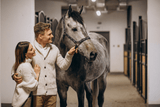 Co kupić dla koniarza? Pomysły prezentowe na każdą okazję - Equishop