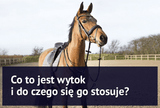 Co to jest wytok i do czego się go stosuje? - Equishop