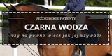 Czarna wodza. wodze pomocnicze - Equishop