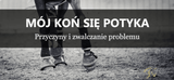 DLACZEGO KOŃ SIE POTYKA? - Equishop