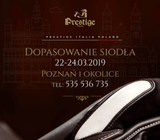 Dopasowanie siodeł w Poznaniu i okolicach - Equishop