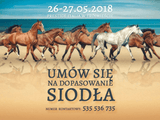 Dopasowanie siodeł w Trójmieście i okolicach - Equishop