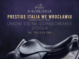 Dopasowanie siodeł we Wrocławiu i okolicach - Equishop