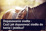 Dopasowanie siodła, czyli jak dopasować siodło do konia i jeźdźca? - Equishop