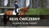 DOSIAD JEŹDZIECKI. KŁUS ĆWICZEBNY - PORADY - Equishop