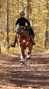 Gabriela Jaworska wywiad. Siodło ujeżdżeniowe Prestige Italia Brillante K AS-X - Equishop