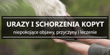 Gnicie strzałki - urazy i schorzenia u konia - Equishop