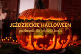 HALLOWEEN - PRZEBRANIA DLA JEŹDŹCA I KONIA - Equishop