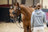 Halowe Mistrzostwa Polski w Ujeżdżeniu – Radzionków 2024 - Equishop