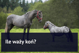 Ile waży koń? - Equishop
