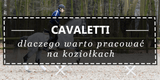Jak pracować z koniem na koziołkach? - Equishop