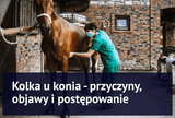 Kolka u konia - przyczyny, objawy i postępowanie - Equishop