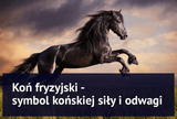 Koń fryzyjski - symbol końskiej siły i odwagi - Equishop