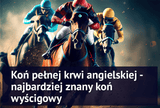 Koń pełnej krwi angielskiej - najbardziej znany koń wyścigowy - Equishop
