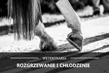 KOŃSKA MAŚĆ - Equishop