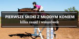 Młode konie - jak jeździć konno? - Equishop