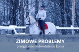 ODWODNIENIE U KONIA. ELEKTROLITY - Equishop