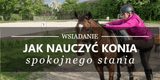 PIERWSZA JAZDA KONNA - Equishop