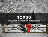 PREZENT DLA JEŹDŹCA I KONIA - TOP 10 - Equishop