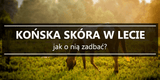 Produkty pielęgnacyjne dla koni - Equishop