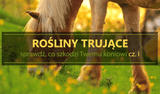Rośliny trujące – jak zapobiec kolce u konia cz. 1 - Equishop
