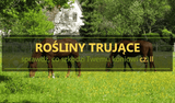 Rośliny trujące – kolka u konia - przyczyny cz. 2 - Equishop