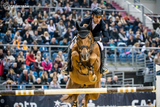 Sklep jeździecki Equishop na targach Cavaliada Kraków 2022 - Equishop