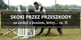 Skoki przez przeszkody cz. 2 - Equishop