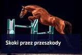 Skoki przez przeszkody - na czym polega najpopularniejsza dyscyplina jeździecka? - Equishop