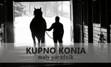 SPRZEDAŻ KONIA - ZAKUP KONIA - Equishop