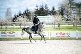 Testowanie nowych siodeł AS-X Prestige Italia w JKS Barłomino - Equishop