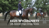 TRENING KONIA - Equishop