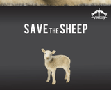 Veredus Save The Sheep - Equishop