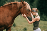 Wirus Herpes u koni — stadnina, stajnia, ośrodek jeździecki - jak sobie radzić? - Equishop