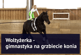 Woltyżerka - widowiskowa gimnastyka na grzbiecie konia - Equishop