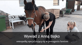 Wywiad z Anną Bajko - osteopatką specjalizującą się w pomaganiu koniom - Equishop