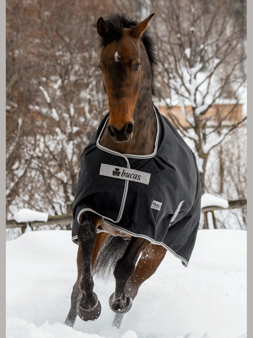 BUCAS ANNIVERSARY TURNOUT 150 STAY DRY HORSE RUG