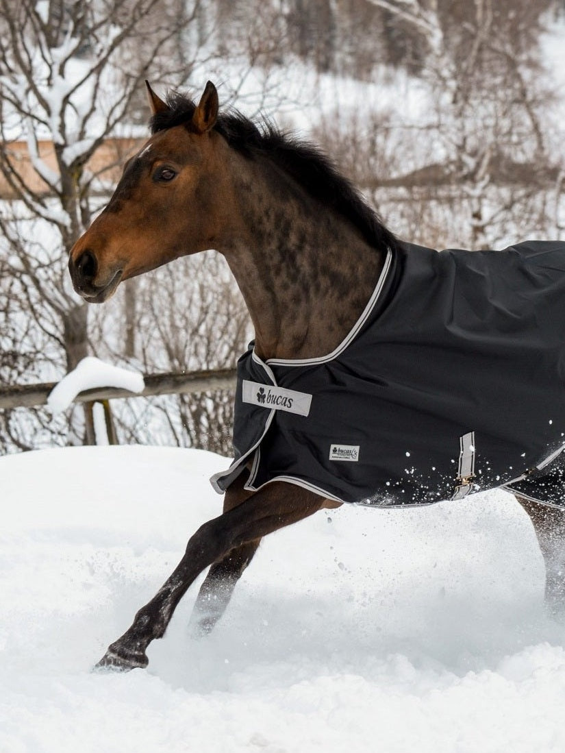 BUCAS ANNIVERSARY TURNOUT 150 STAY DRY HORSE RUG