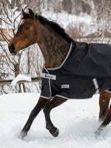 BUCAS ANNIVERSARY TURNOUT 150 STAY DRY DERKA PADOKOWA DLA KONIA - Bucas Equishop