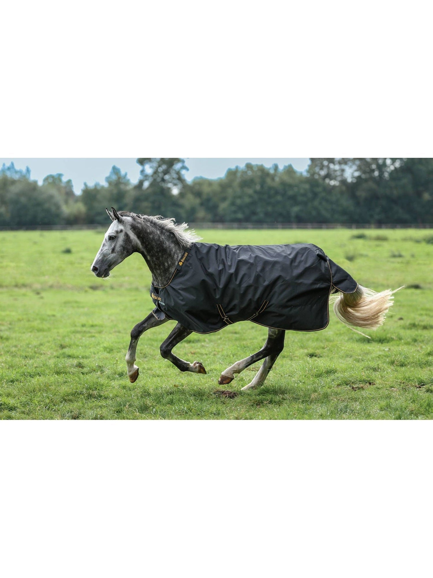 BUCAS DERKA PADOKOWA IRISH TURNOUT 300G - Bucas Equishop