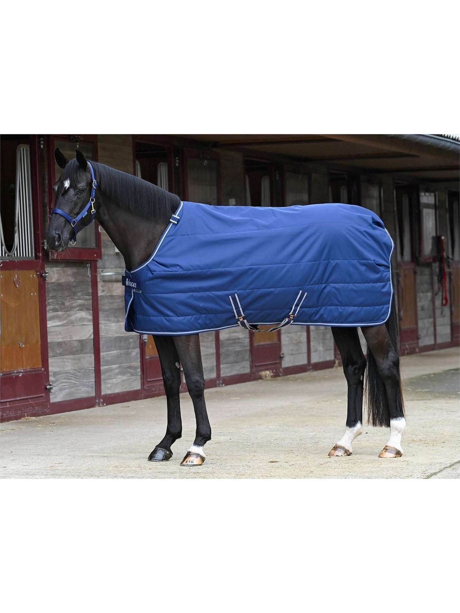 BUCAS DERKA STAJENNA QUILT 300 STAY DRY - Bucas Equishop
