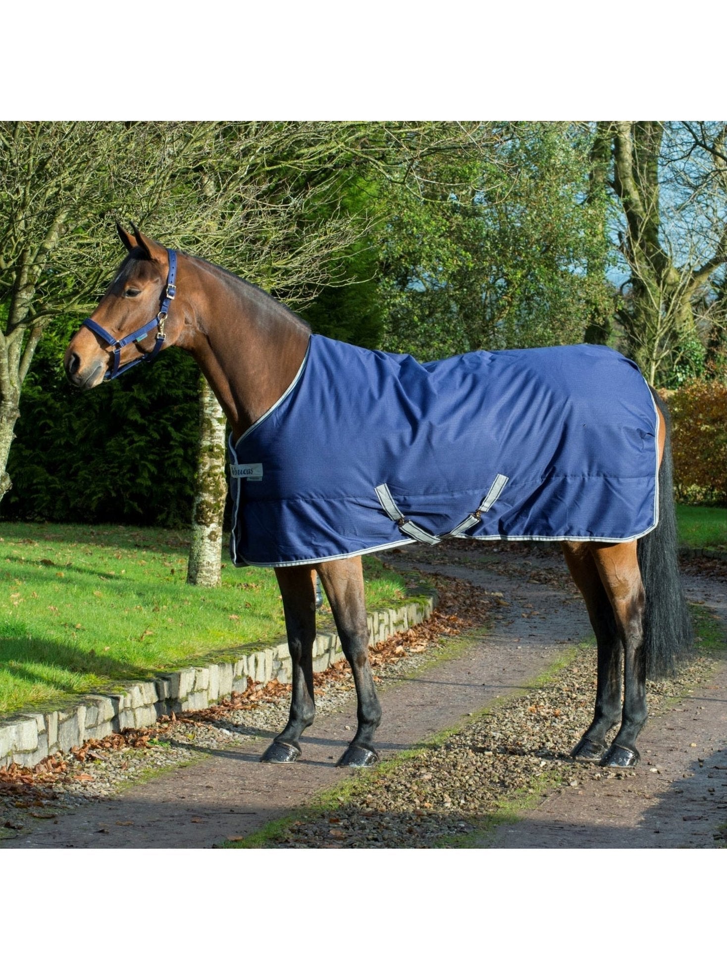 BUCAS FREEDOM STABLE 150 DERKA STAJENNA DLA KONIA - Bucas Equishop