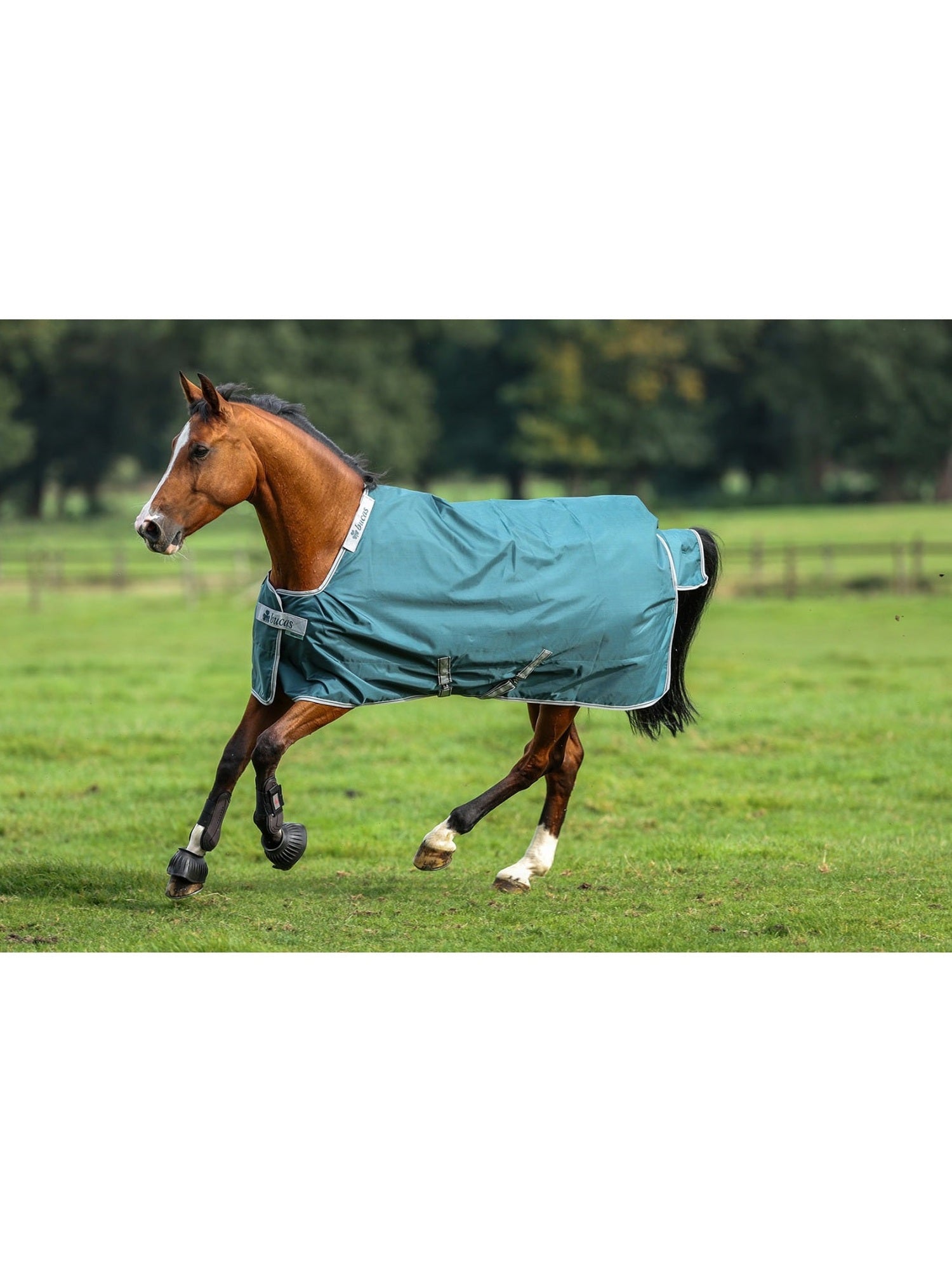 BUCAS ATLANTIC TURNOUT RUG FOR HORSE 200G GREEN