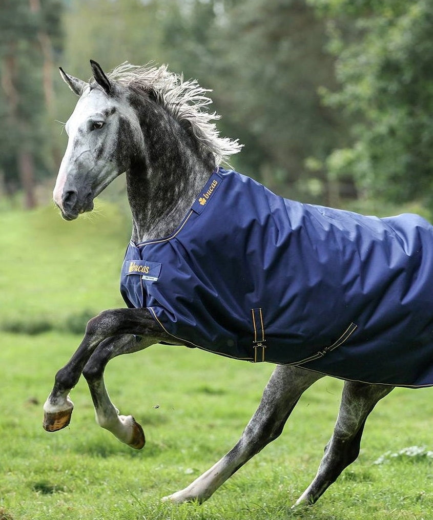 BUCAS HORSE TURNOUT RUG IRISH TURNOUT 50